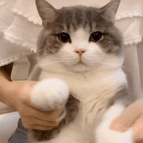 许愿许愿截图