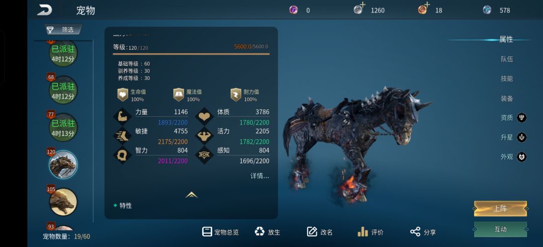 这个黑马能养吗,资质很低,有2四级1五级 1
