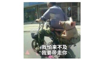 🐷神皇冠萌新如何快速成长指南(下)【赛宁神子版本·2025.06.25】