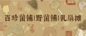 江南宝藏🍄百珍菌铺 | 野菌铺 | 乳扇摊