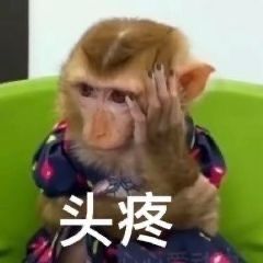其实不用详细测评了,因为…… 1