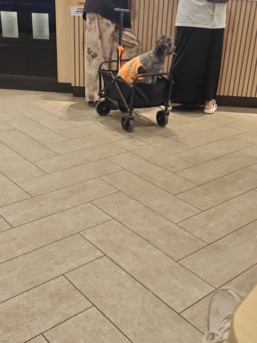 我不理解 1