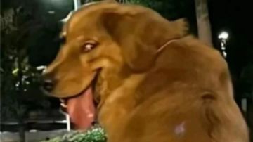 浅谈梦境未来去留