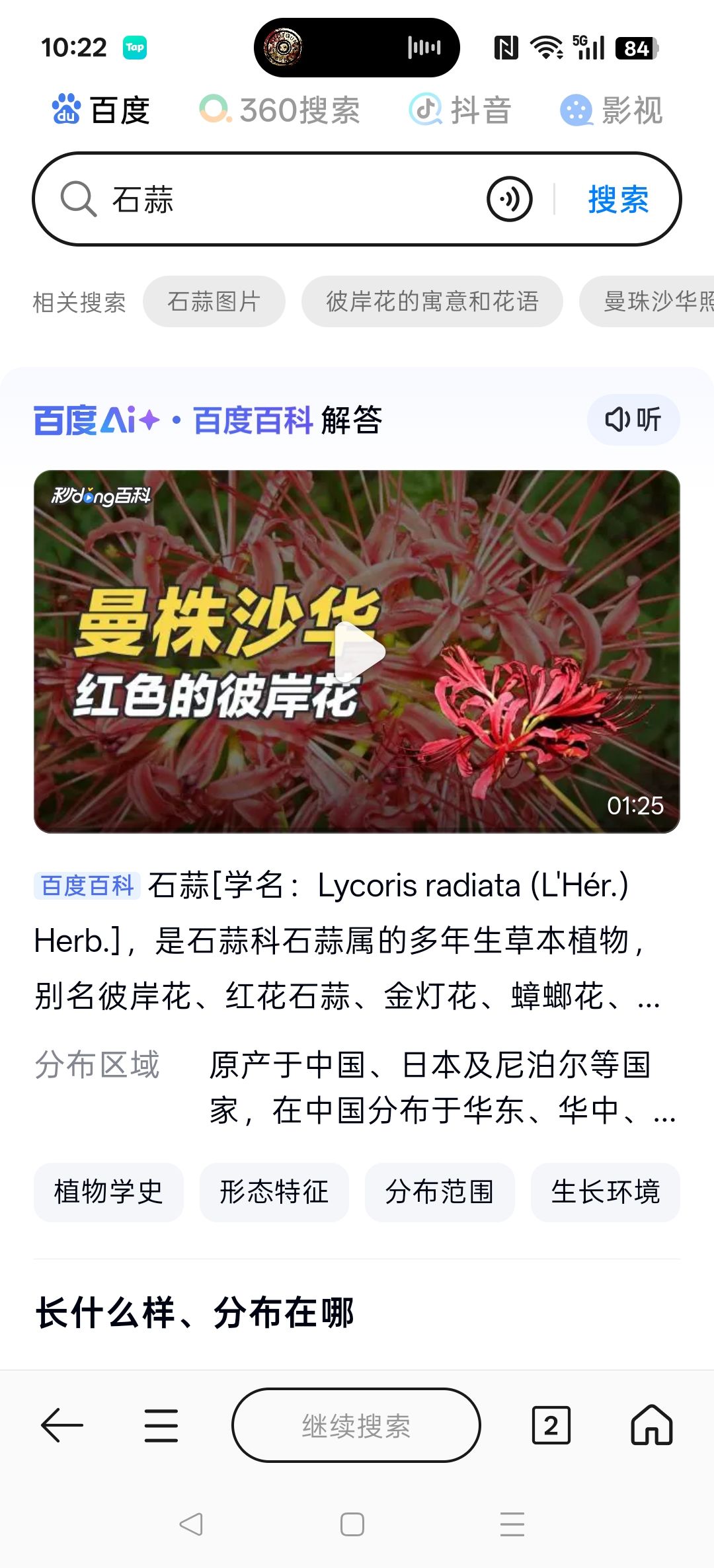 考不考虑给石蒜一次机会 2