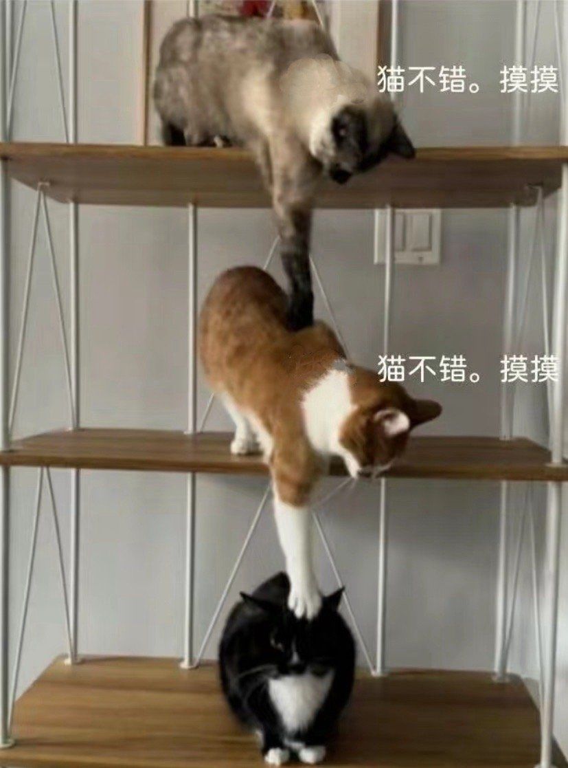 在线蹲一个互换副卡 1