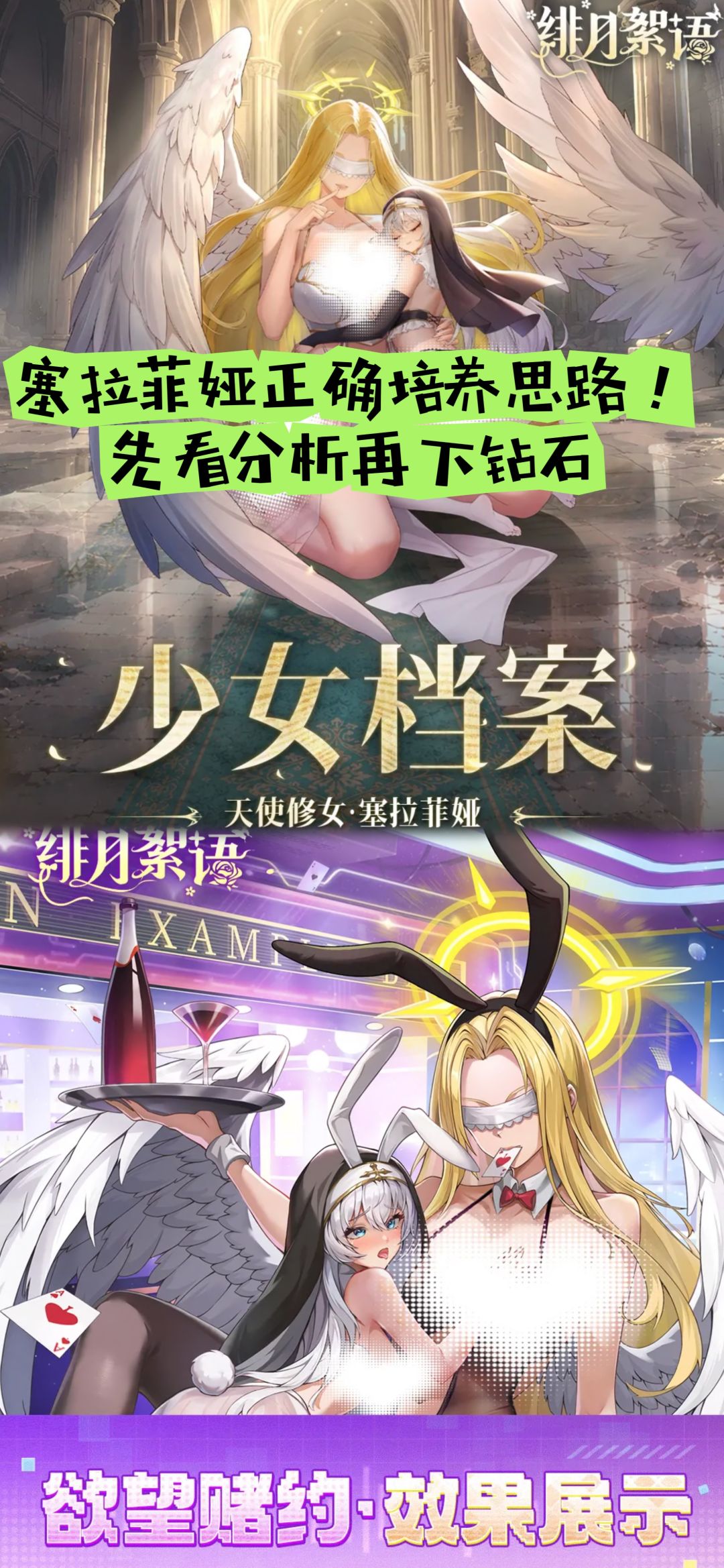 塞拉菲娅正确培养思路！先看分析再下钻石截图