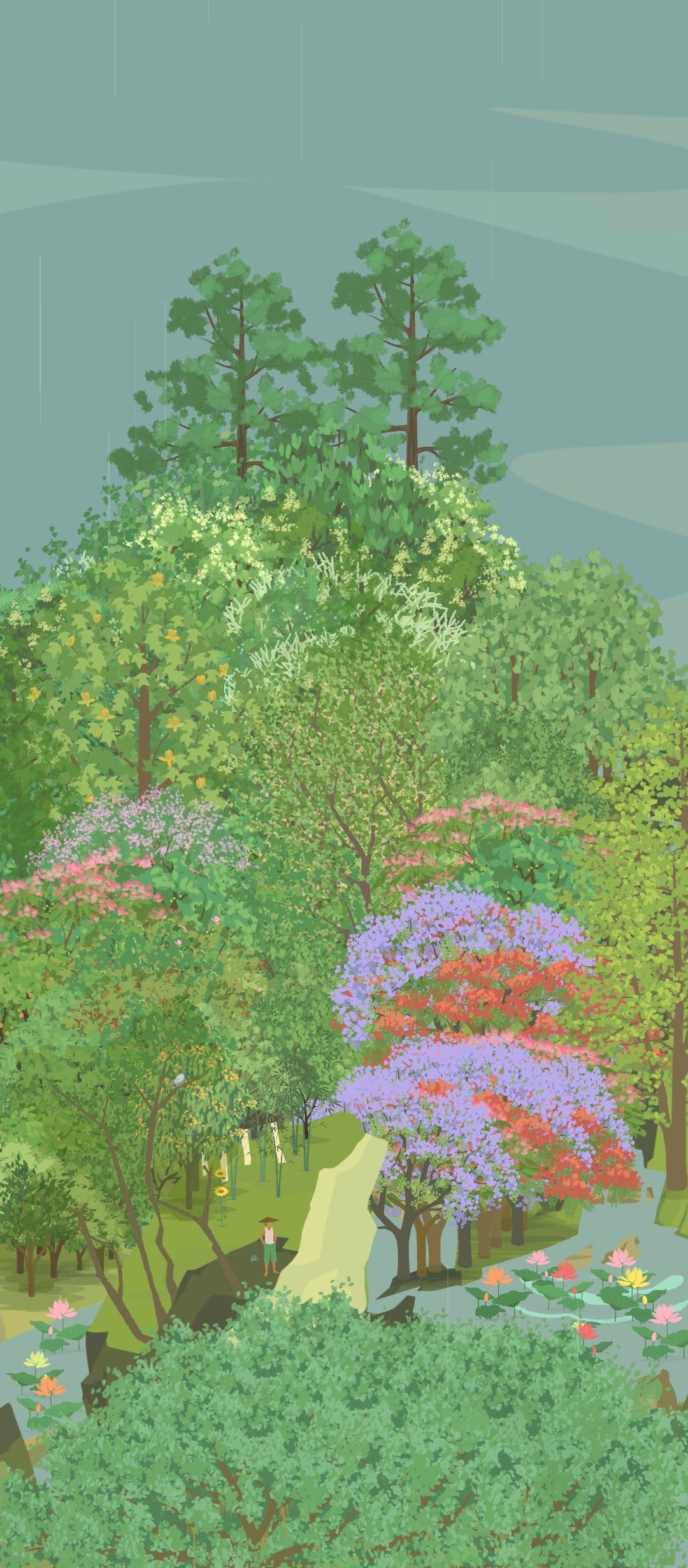 求求山友帮忙收鸟叫 1