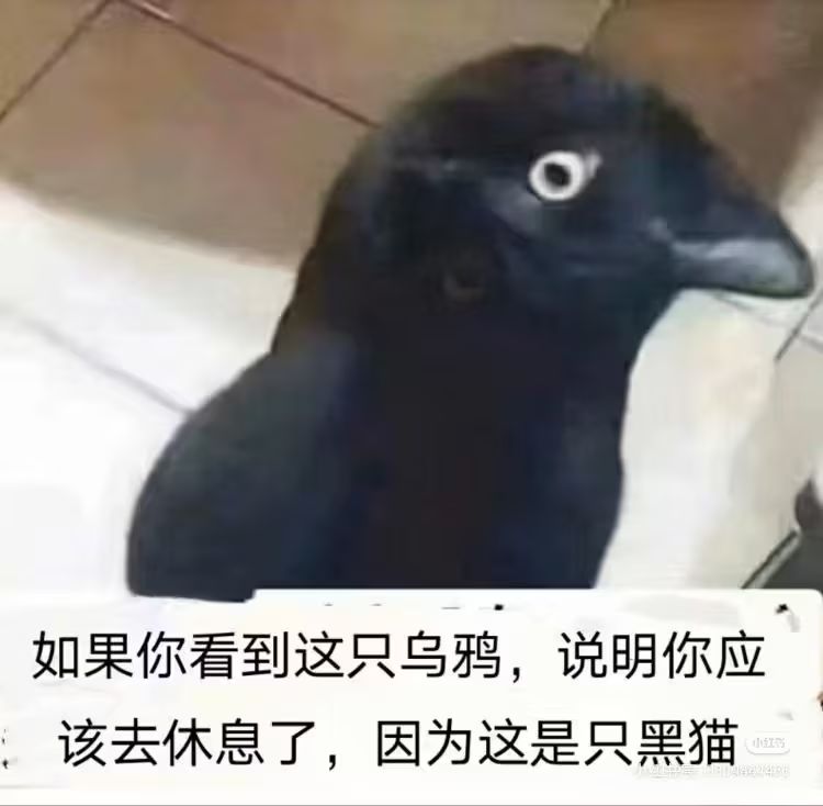 可以优化一下吗 1