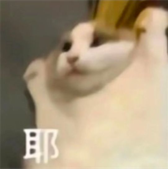 无聊，来许个愿截图
