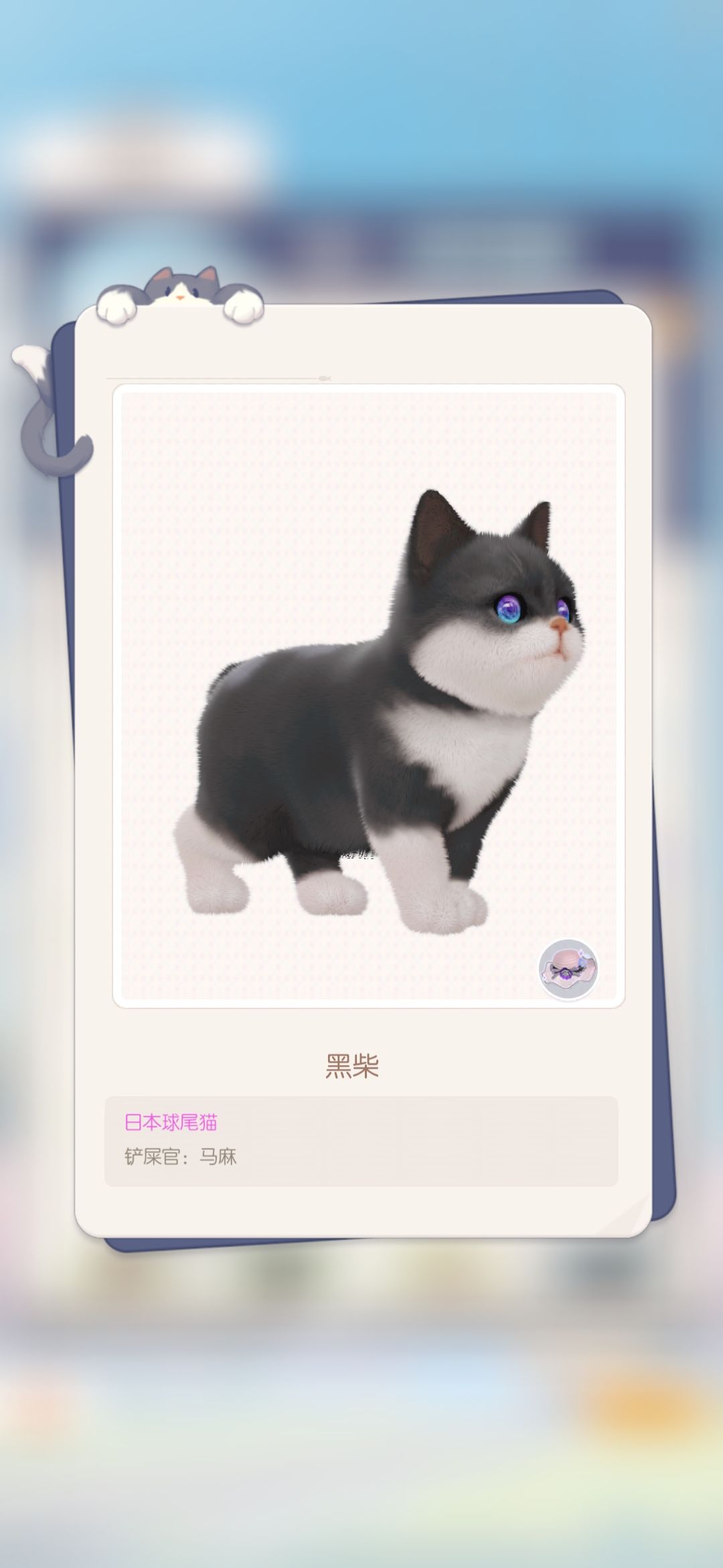 狗狗猫 1