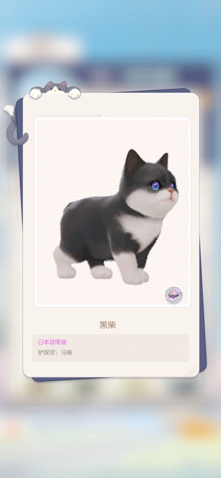 狗狗猫截图