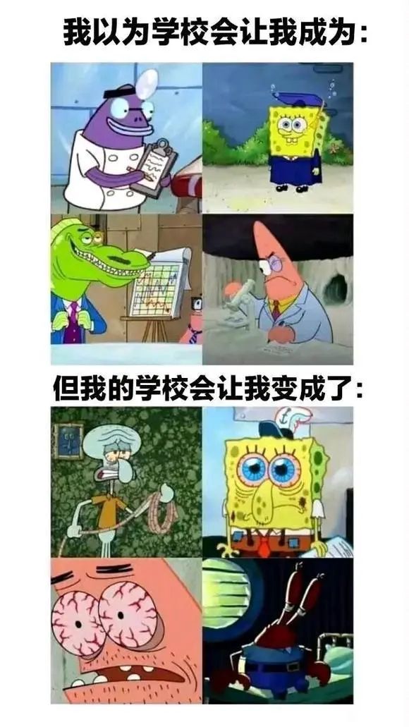 ✨今日份梗图分享第十七期✨ 3