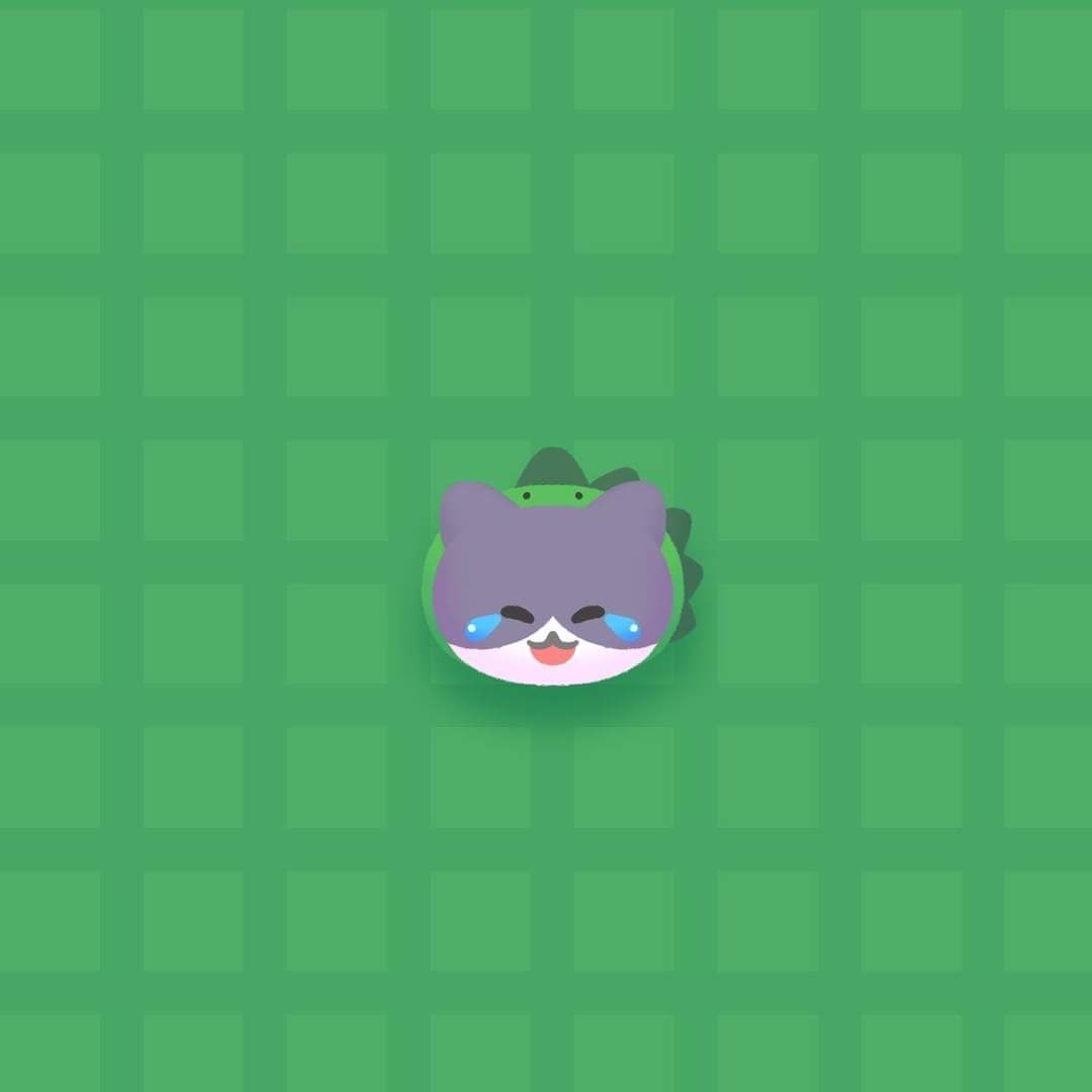 官方小猫图! 3