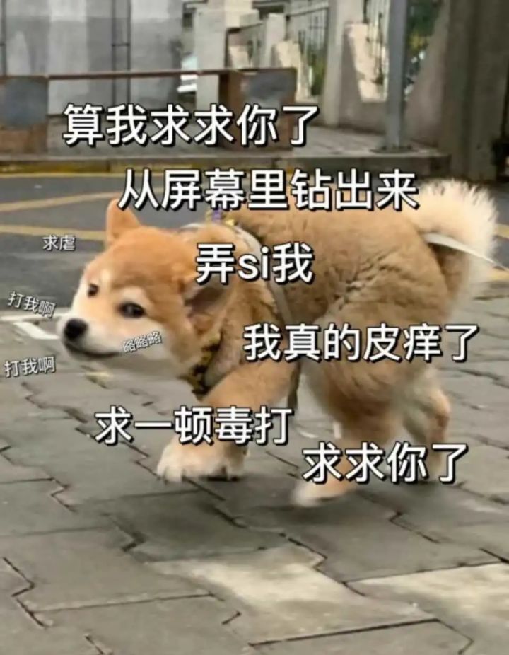 来，看图截图