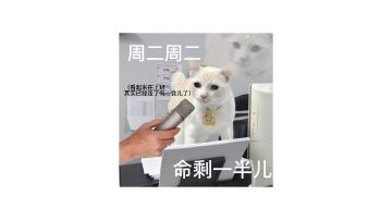 找人找人，我是怎么把带我入坑的冰法好人气走的