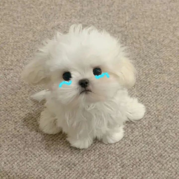 请问怎么下载截图