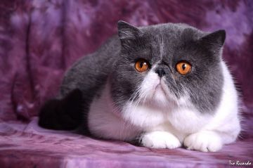 估计要到最后才返了