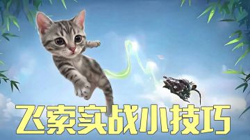 别再只会赶路了！你的飞索，其实藏着上分答案