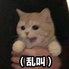 号没了 1
