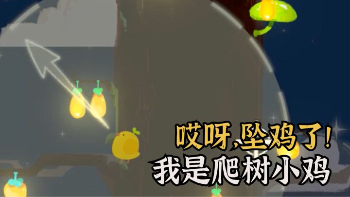 哎呀妈耶！坠鸡了🐦一路攀登寻找小鸟朋友！截图