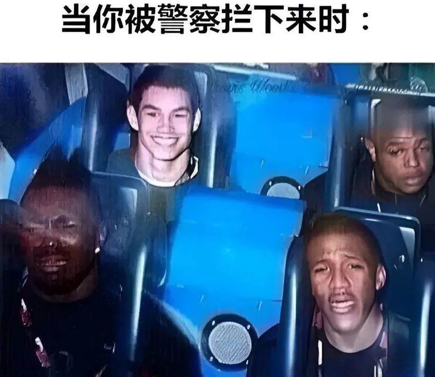 今日份梗图分享 3