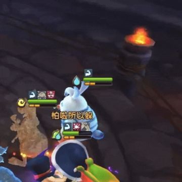 都波特系宠物测评