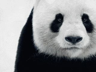 宝藏游戏又又又送皮肤啦截图