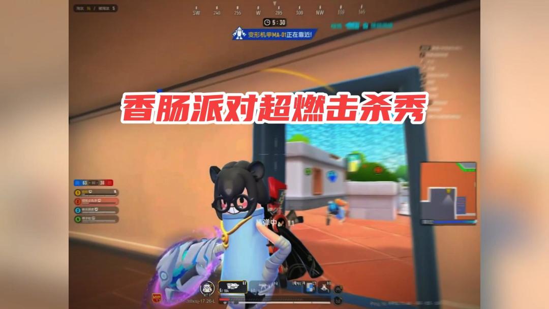 video-4014421
