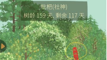 社神159天，记录一下种树历程～