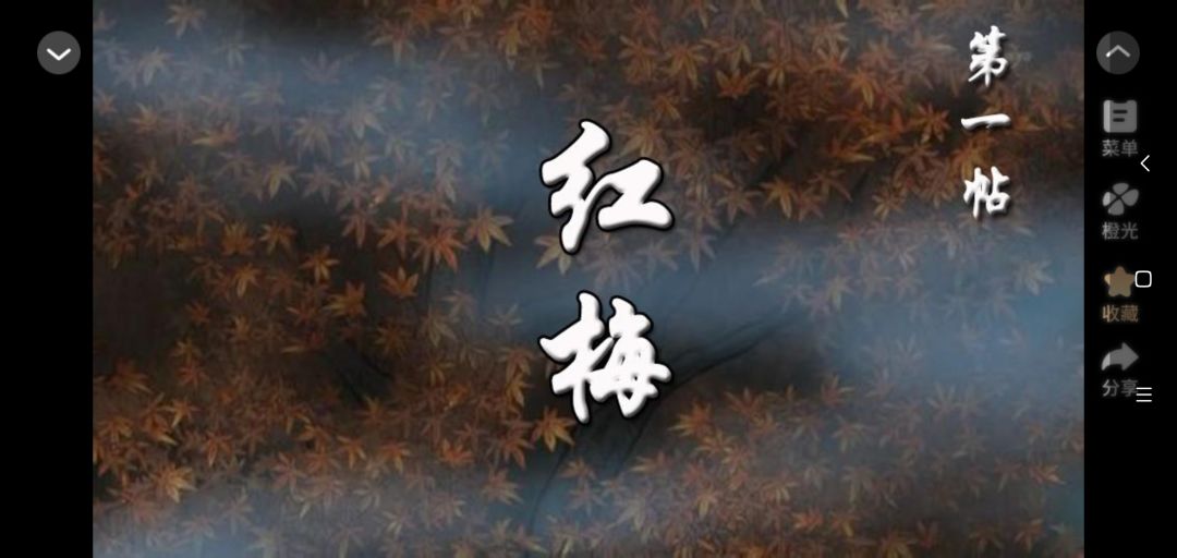 樱与梅 4