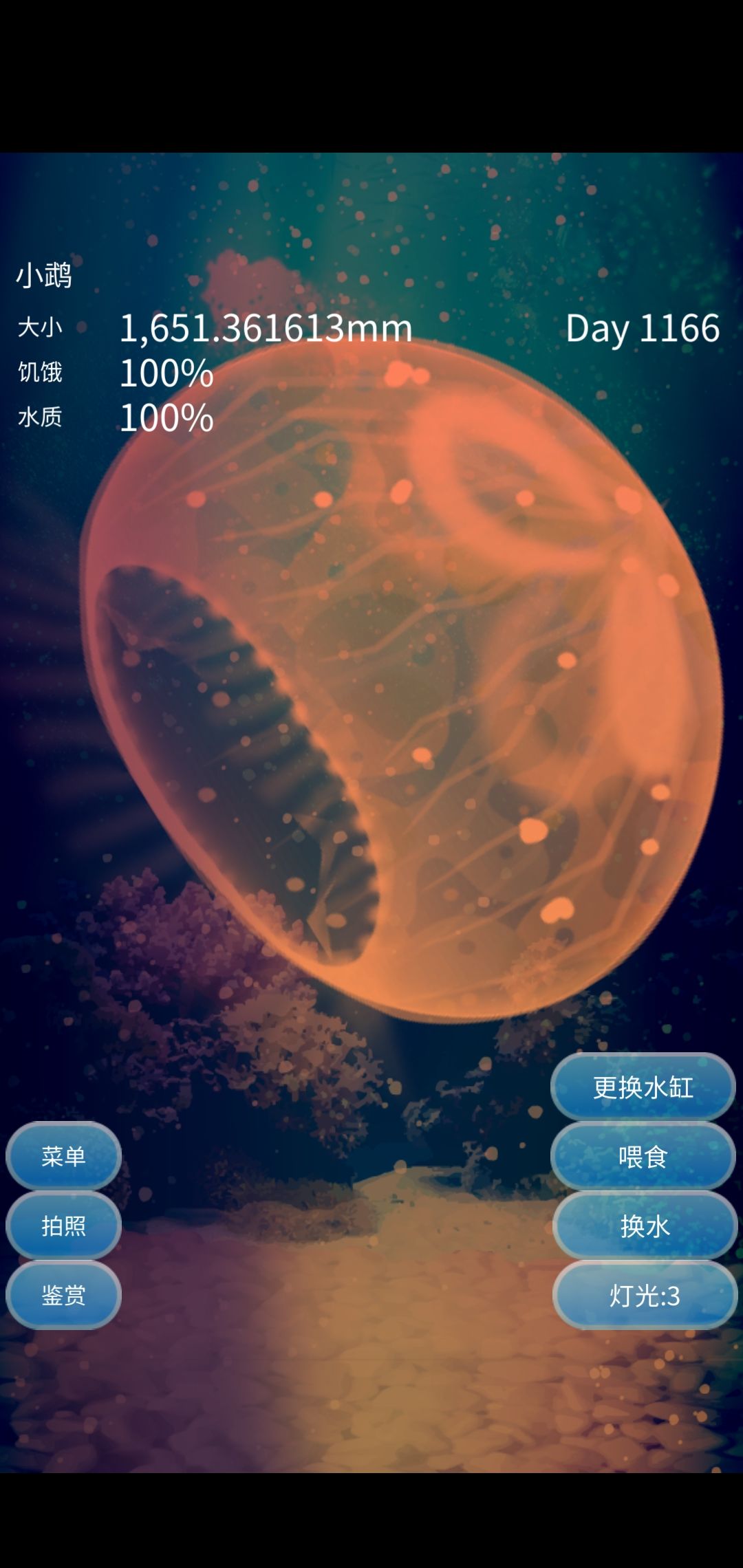 换了4个缸 3