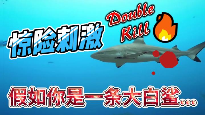 来吧您呐！快成为一条大白鲨，体验海底世界的惊险刺激吧！截图