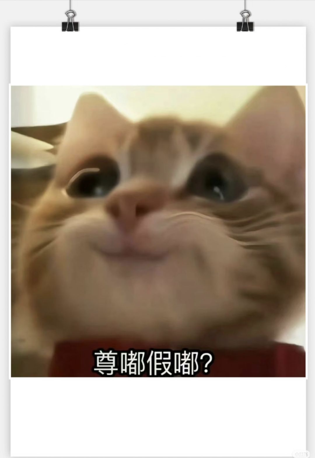寿桃该怎么获得啊,兄弟们 2