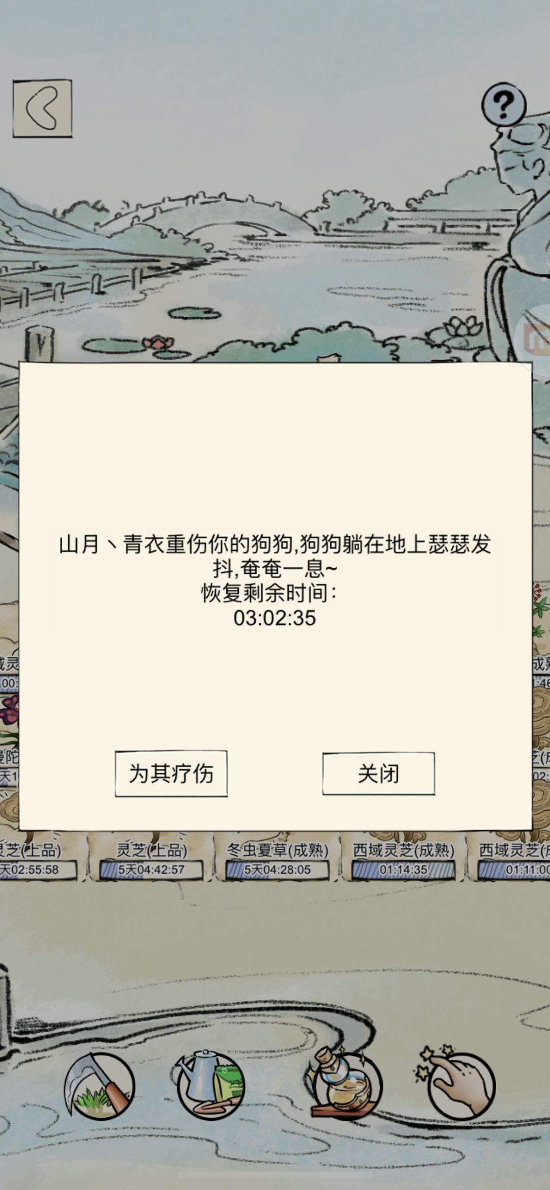 我的狗不是侠客狗为什么还会被打? 1