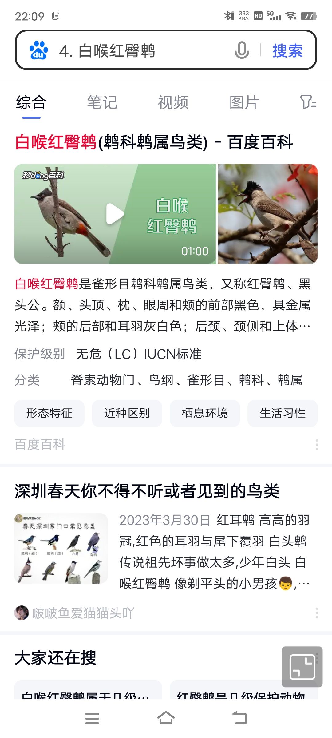 第11天 2