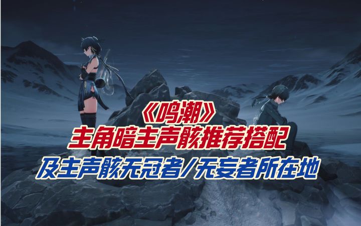 《鸣潮》主角暗主声骸推荐搭配及主声骸无冠者/无妄者所在地截图