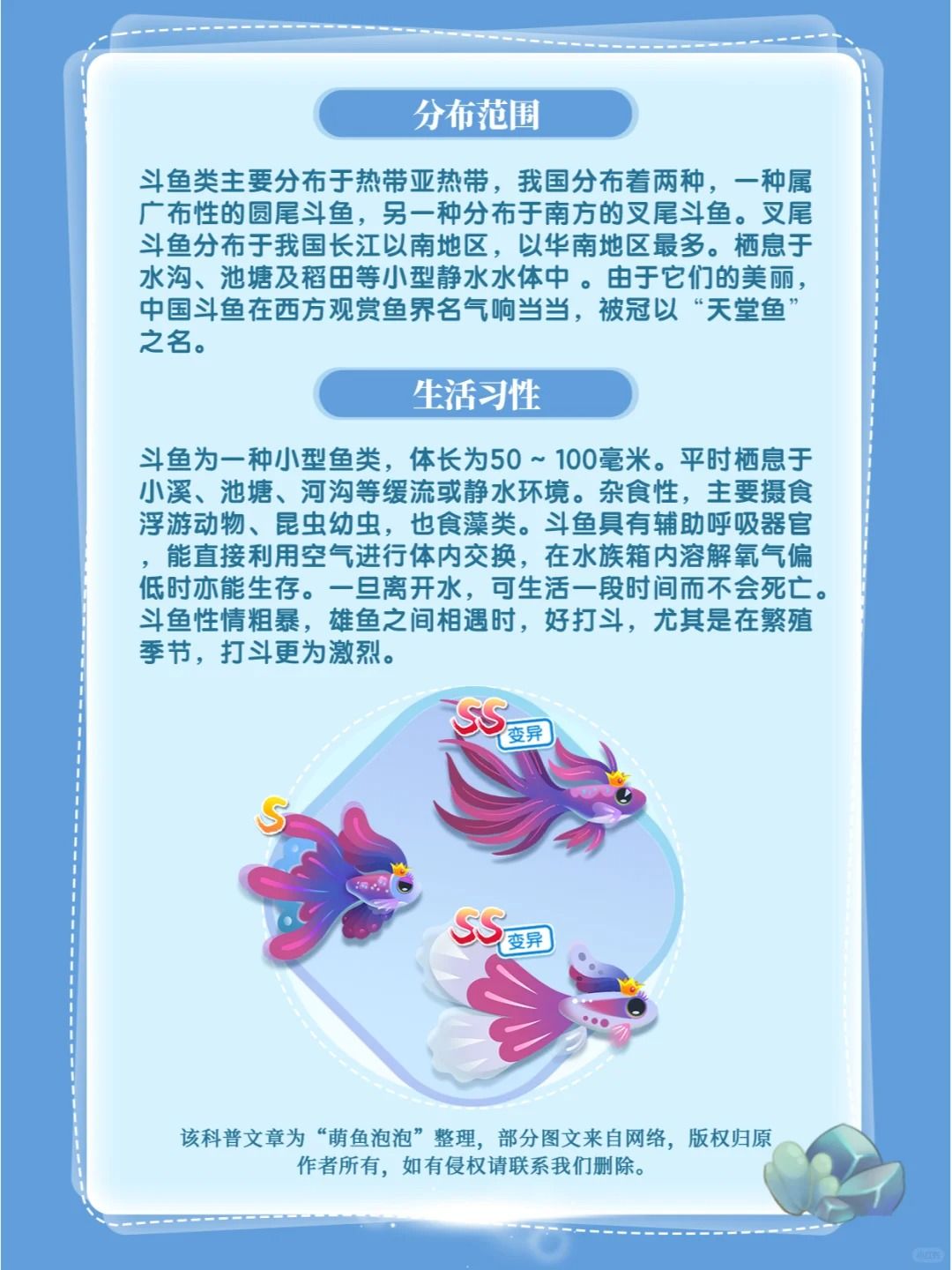 萌鱼百科丨第3期：斗鱼 2