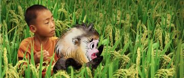 【普通话小镇】我们办了一场大山里的放映会