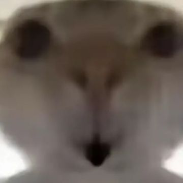 WOW!! 3
