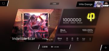 Indelible Scar IN15 AP