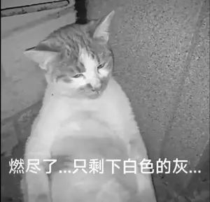 我超截图