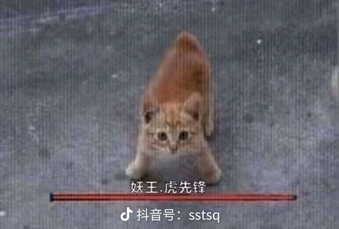 问一下 这游戏多久开一次新区 1