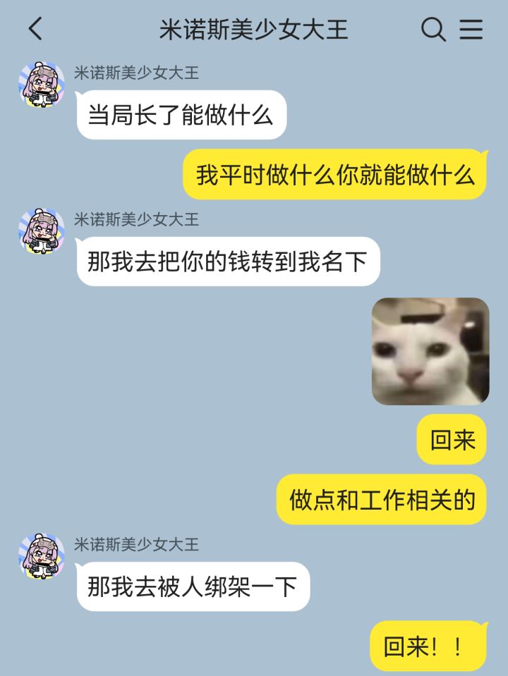 海拉的一日局长体验截图