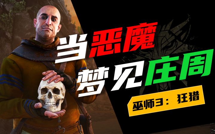 【巫师3:石之心】用庄子的逍遥游重新解读“无敌”的镜子大师截图