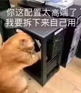 推荐kenshi，神之天平，noita，高中低配电脑都能爽玩 3