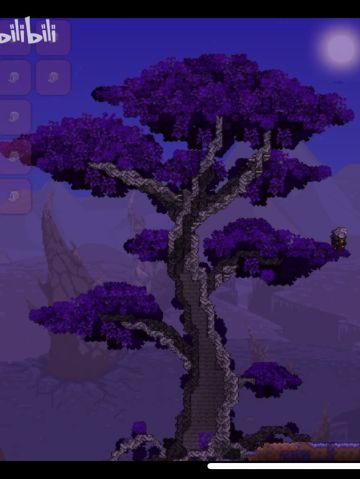 更新（食人树（雾））