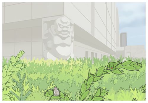 蛙蛙留念 13