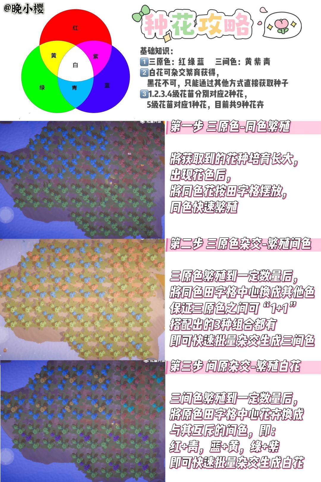 【入门级】一图看懂花卉批量繁植方法截图