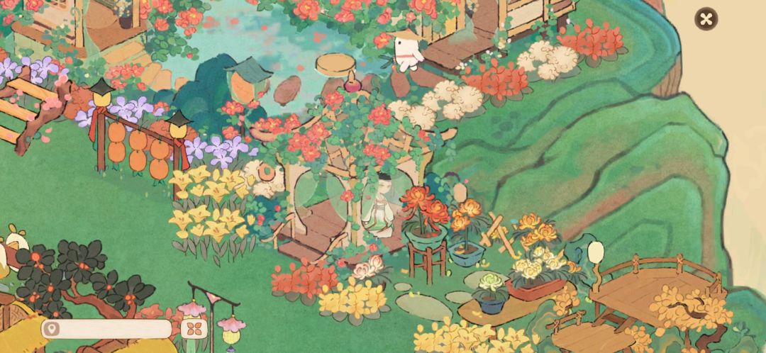 补个重阳赏菊 1