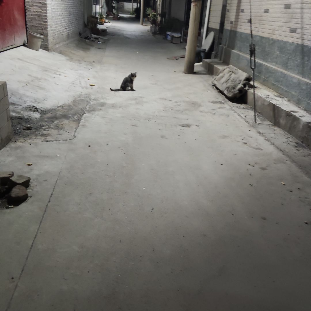 动态图片 11